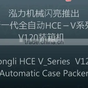 Salt Bags Case Packer, Case Packaging Machine thumbnail-3