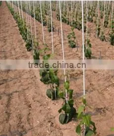 FRP Plant Support Fiberglass Stakes thumbnail-1