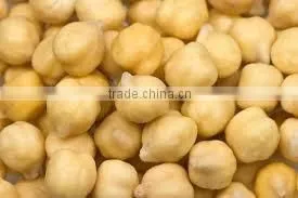 Chick Peas, Kabuli Chickpeas thumbnail-1