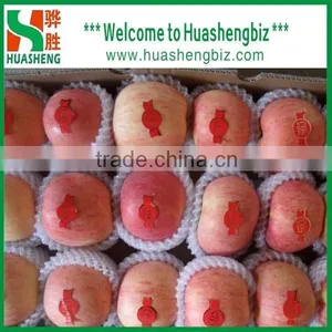 Latest Red Apple Price/sweet Red Fresh Apple for Sale thumbnail-5