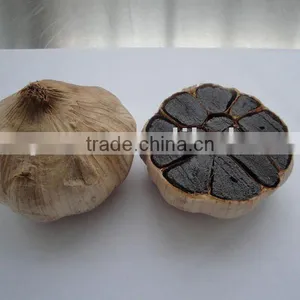 Black Garlic thumbnail-1