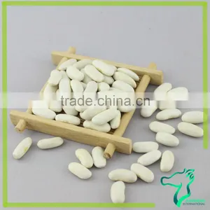 Long White Kidney Beans 2016 Crop Now On Sale thumbnail-4
