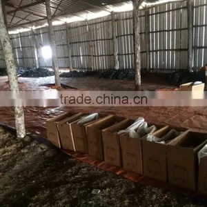 White Charcoal High Quatily in VIET NAM thumbnail-2