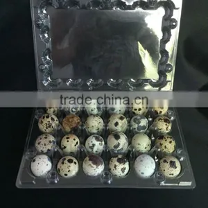 Wholesales Price Disposable PVC Quail Egg Tray thumbnail-2