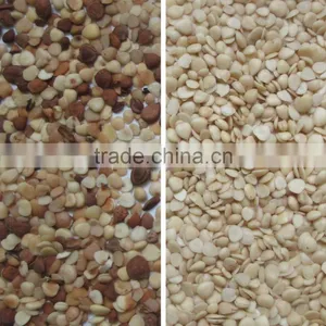 Grain,Wheat,Rice,Seeds,Dehydrated Vegetable,Recycle Plastic Color Sorter thumbnail-2