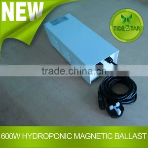 Indoor Garden Greenhouse 600W Hydroponic Grow Light Magnetic Ballast for Indoor Gardening Plant Growth thumbnail-1