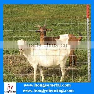Sheep Wire Netting thumbnail-3