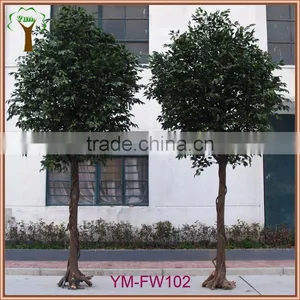 Customized Real Wood Ficus Tree thumbnail-2