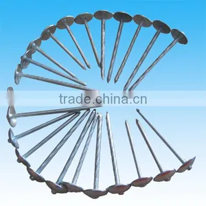 Galvanized Umbrella Head Roofing Nails In Guangzhou Factory thumbnail-1