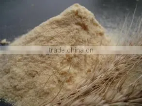 Dry Powdered Malt Extract thumbnail-1