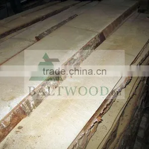 Baltic Birch Timber thumbnail-1