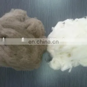 Carded and Dehaired Raccoon Hair for Spinning thumbnail-1