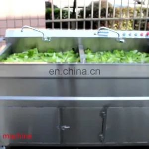 Double Tank Fruit and Vegetable Washing Machine Lettuce Washing Machine Strawberry Air Bubble Washing Machine thumbnail-1