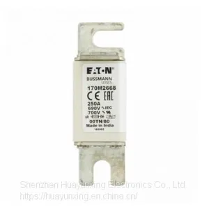 170M2668 Eaton Bussmann Series High Speed Square Body Fuse, 700V UL thumbnail-1
