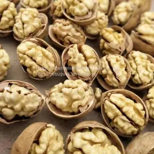 Walnut Inshell thumbnail-1