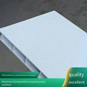 Second-generation Anti-betadine Moisture-proof Wood Grain Board. Factory Customizes Sanitary Partitions in Xichang Urban Area and Boards for Public Toilet Projects thumbnail-1