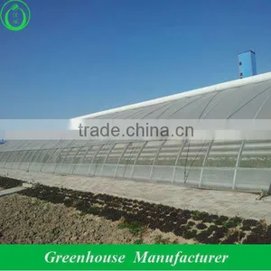 Hot Sale Solar Greenhouse thumbnail-1