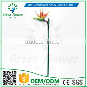 greenflower 2016 Латекс ПВХ Искусственные цветы Стелиция в качестве подарка для украшения свадьбы thumbnail-2