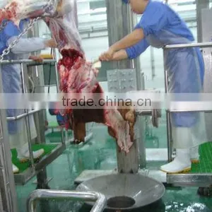 Pneumatic Lift for Cattle and Sheep thumbnail-1