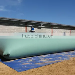 2015 Anti-leaking Design Membrane Biogas Holder, Biogas Storage Tank thumbnail-4