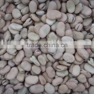 Dry Broad Beans thumbnail-1