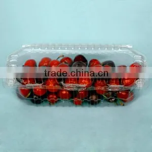 PET Plastic Transparent Cherry Box thumbnail-3