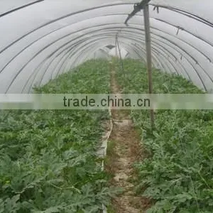 Insulation Greenhouse Plastic Film thumbnail-1