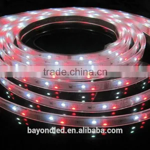 China Supplier Wholesale Smd 3258 Led Flexible Strip For Bar /christmas Decoration thumbnail-3