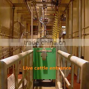 ox Slaughterhouse thumbnail-2