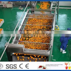 Citrus and Similar Fruits Processing Line thumbnail-2