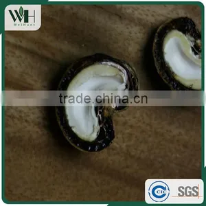Cambodia Origin Raw Cashew Nuts in Shells thumbnail-2