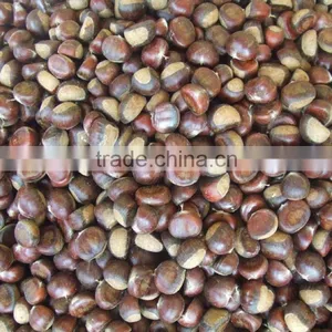 Chestnuts for Sale 40-60 thumbnail-5