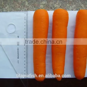 HHF Fresh Carrots for Sale thumbnail-1