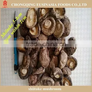 Shiitake Mushroom thumbnail-1