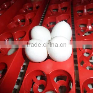 2014 New Design Mini Incubator for 36 Chicken Eggs Hot Sale thumbnail-2