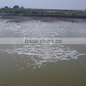 Aerator for Shrimp/equipments for Fish Farming thumbnail-4