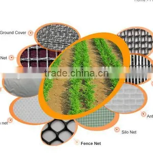 Hen House for Aviculture/breeding Mesh Fence thumbnail-3