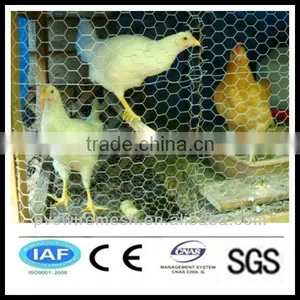 China Wholesale CE&ISO Certificated Hexagonal Chicken Wire Mesh(pro Manufacturer) thumbnail-1