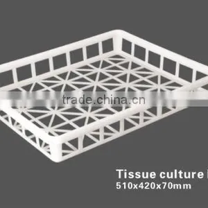 Tissue Culture Frame/small Flower Pot Seeding Tray Transfer Tray thumbnail-1
