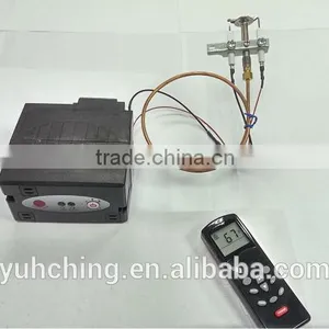 Regulator With Protec Twinter Garden Space Home Heating Gasfired Unit Remote Control Thermostat Gas Boiler Natural Butane Heater thumbnail-1