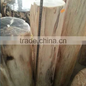 Petrified /fossilized Wood,Luxary Nature Decorative Stone,high Value for Collection thumbnail-1