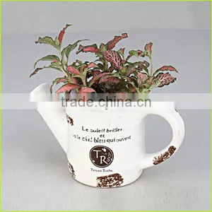 Plastic Flower Pot,colorful Plastic Flower Pots,custom Printed Flower Pots thumbnail-2