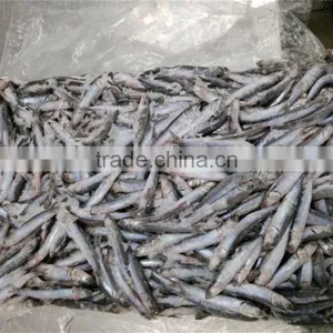 New Season Fresh Frozen Whole Round Anchovy thumbnail-1