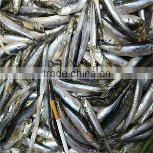 Sea Frozen Whole Anchovy thumbnail-6