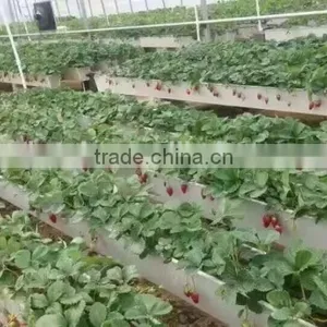 Space Saving Vertical Hydroponics thumbnail-2