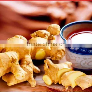 6g Wholesale Cheap Price Lemon Ginger Tea Manufacturer From China Supplier thumbnail-5