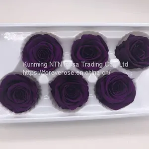 A Grade Fresh Cut Roses Preserved Flower From Ecuador Wholesale Longlasting Flower thumbnail-5