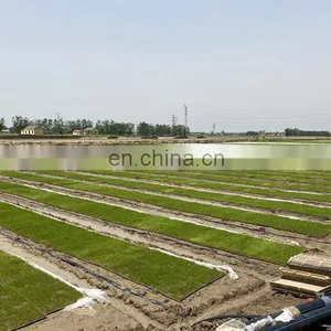 Kubota Latest Automatic Rice Nursery Sowing Machine thumbnail-4