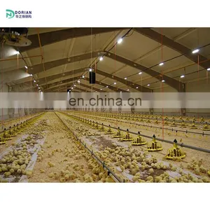 Farm Construction Chicken House for 3000 Chicken thumbnail-3