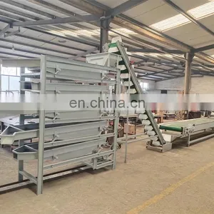 Walnut Shell Crusher Shell Kernel Separating Machine Almond Nuts Sheller Machine thumbnail-5
